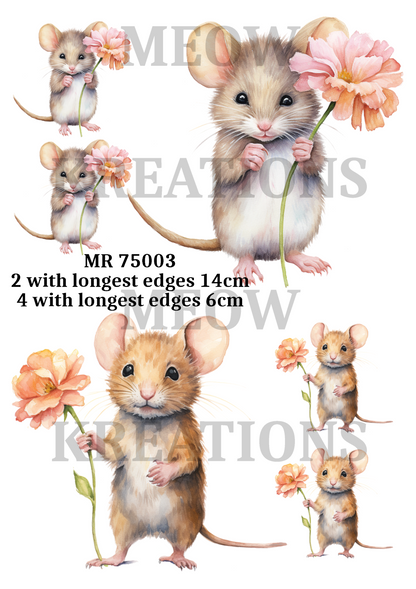 Decoupage Rice Paper - MR 75003