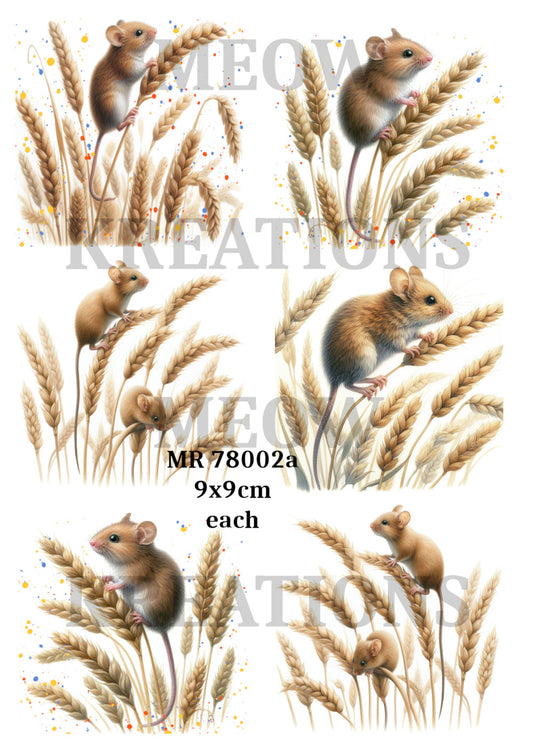 MR 78002a