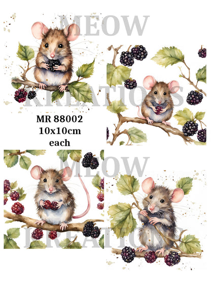 Decoupage Rice Paper - MR 88002