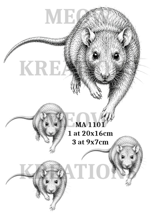 MRA 1101