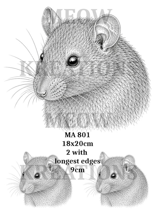 MRA 801