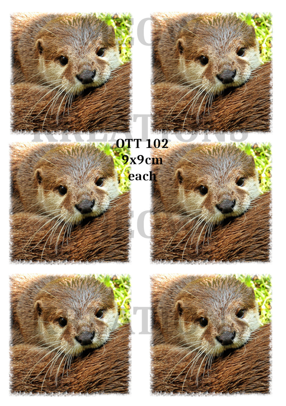 OTT 102