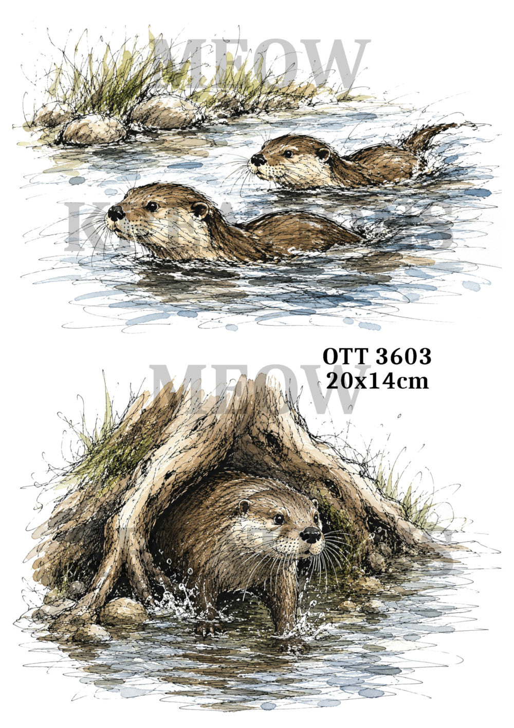 OTT 3603