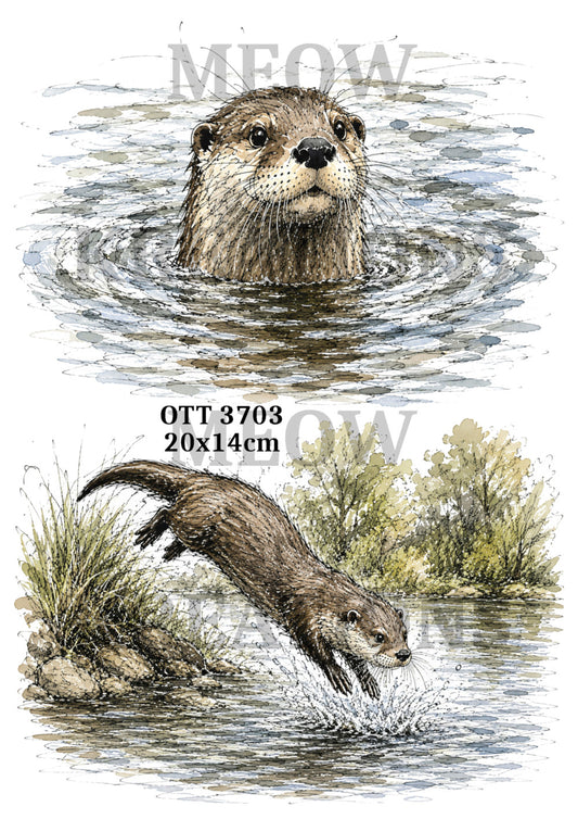 OTT 3703