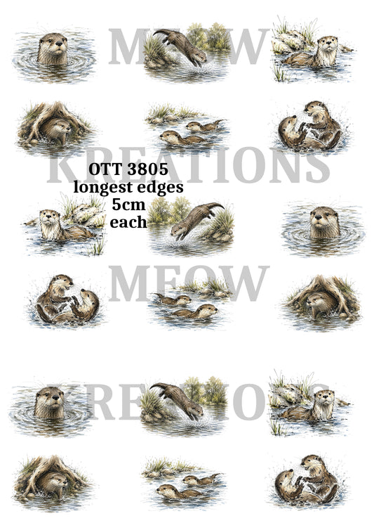 OTT 3805