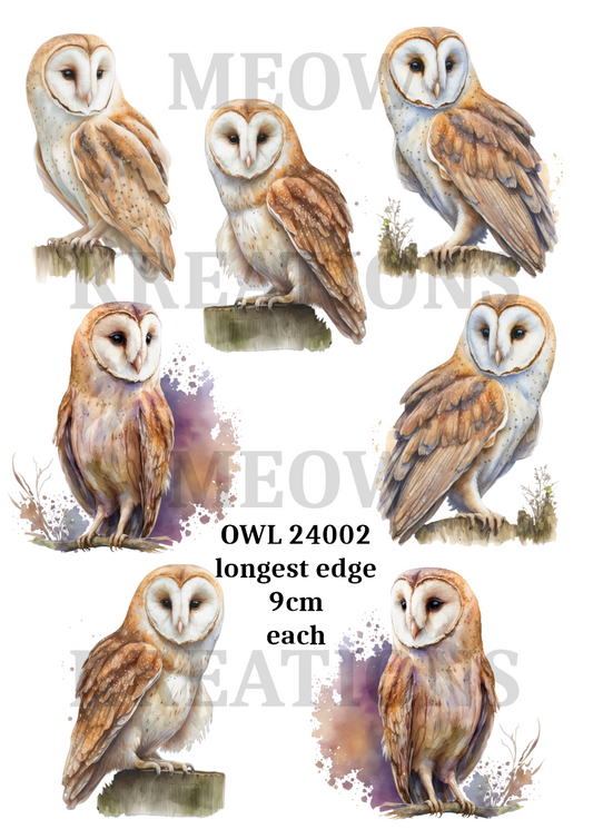 OWL 24002