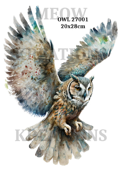 Decoupage Rice Paper - OWL 27001
