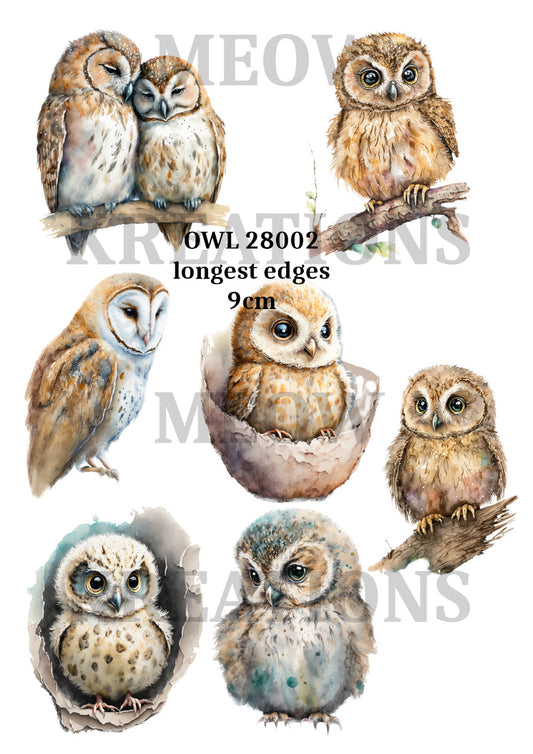 OWL 28002