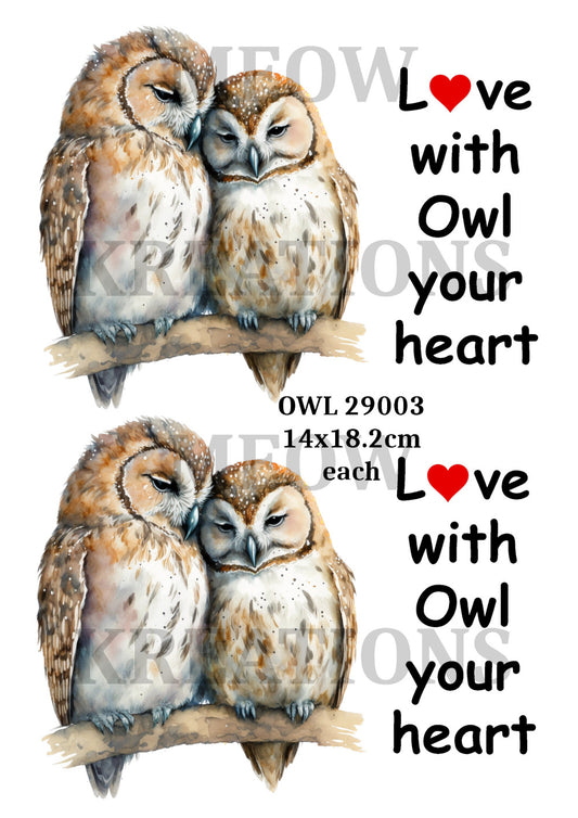 OWL 29003