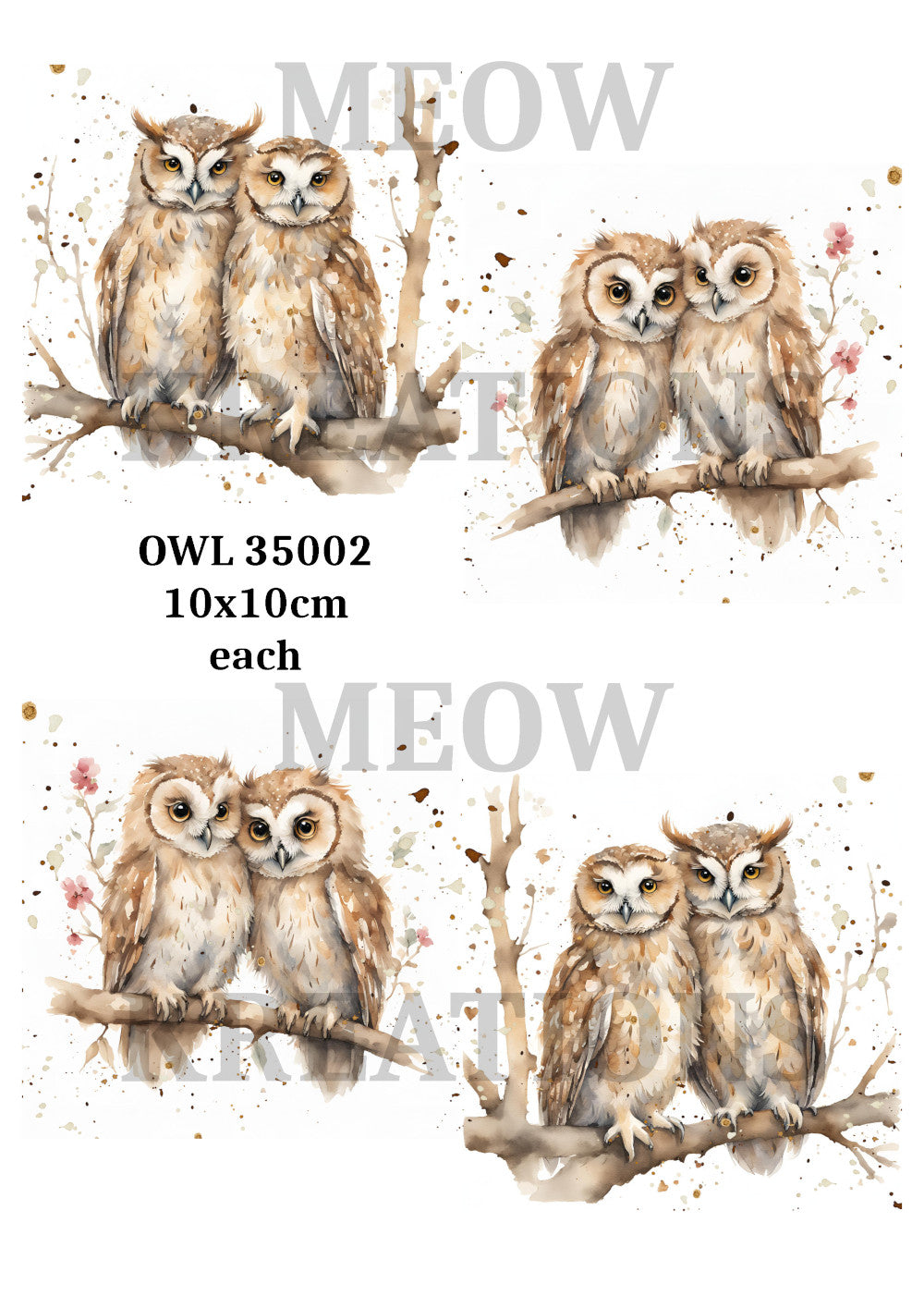 OWL 35002