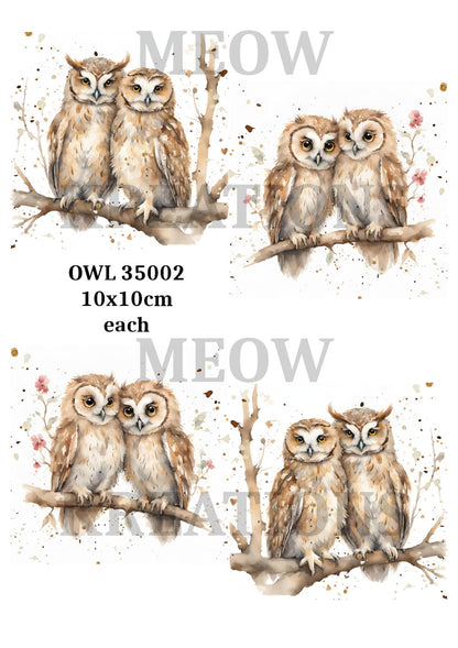 Decoupage Rice Paper - OWL 35002