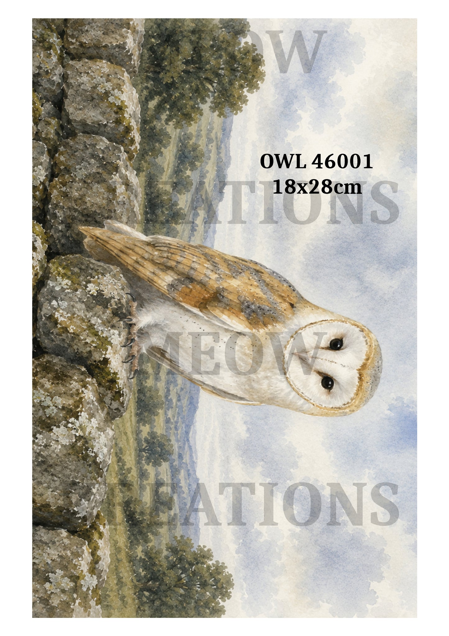 OWL 46001