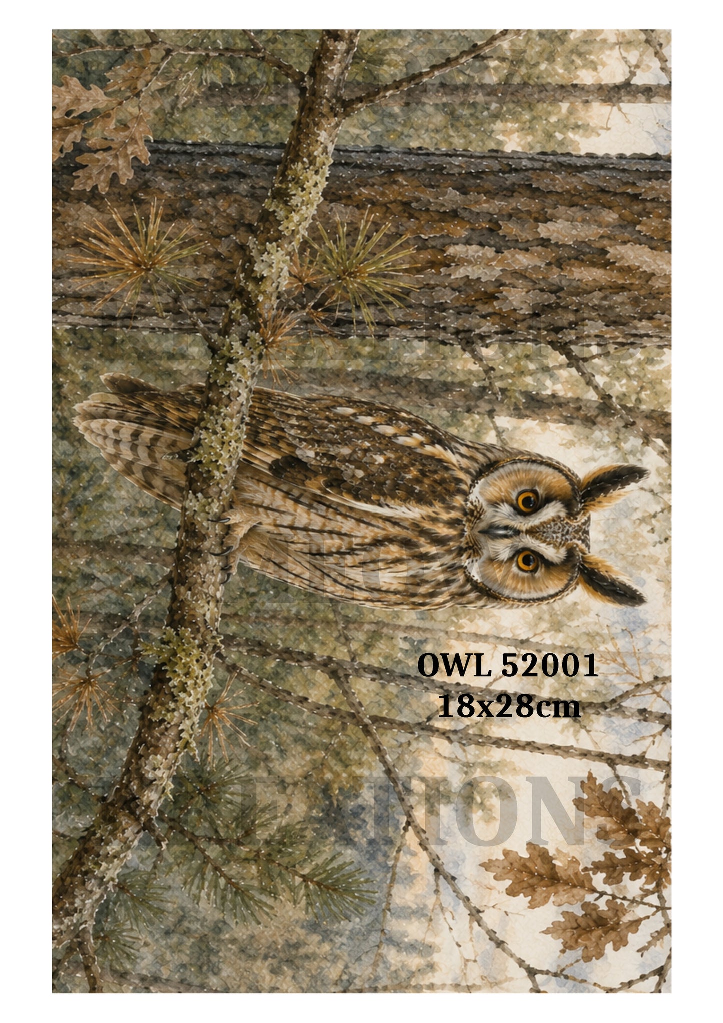 OWL 52001