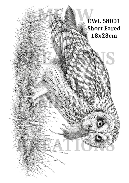 OWL58001