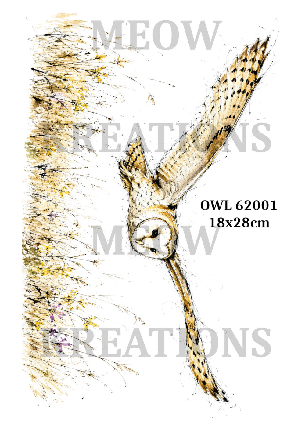 OWL 62001