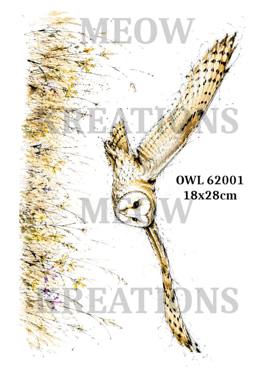 OWL 62001