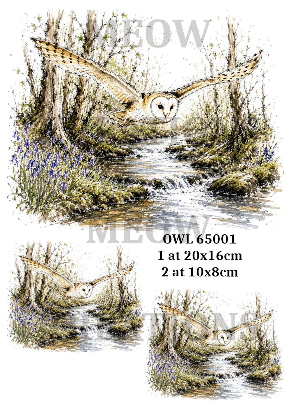 OWL 65001