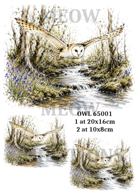 OWL 65001