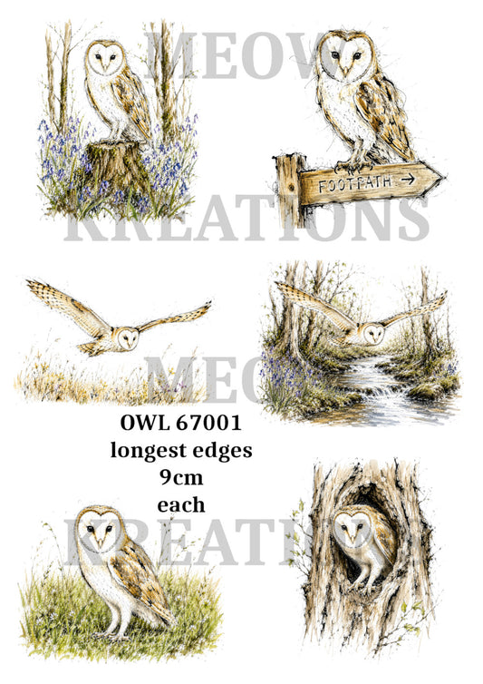 OWL 67001