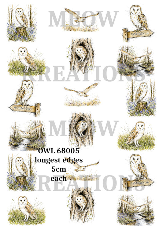 OWL 68005