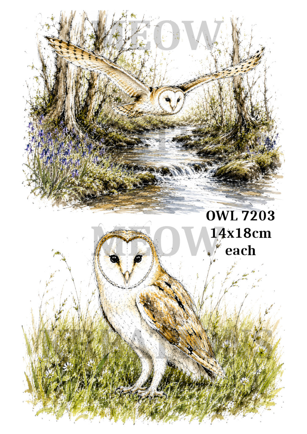 OWL 72003