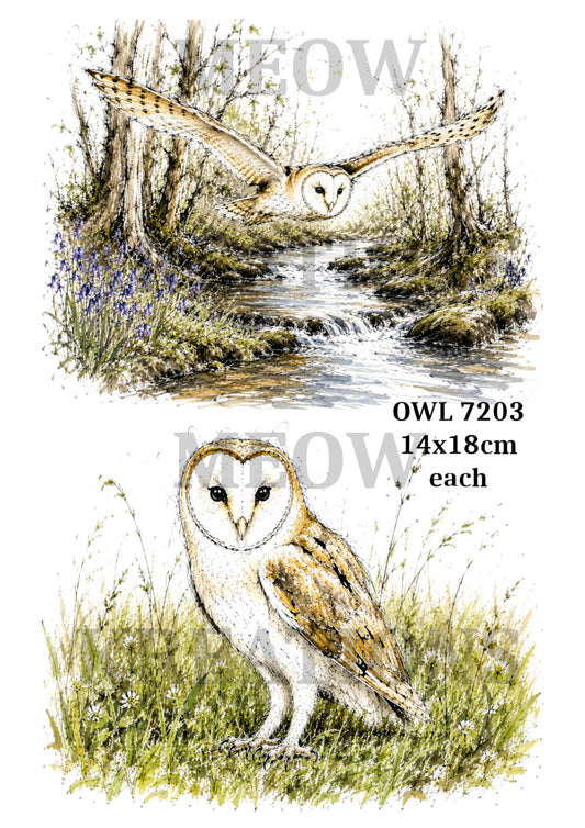OWL 72003