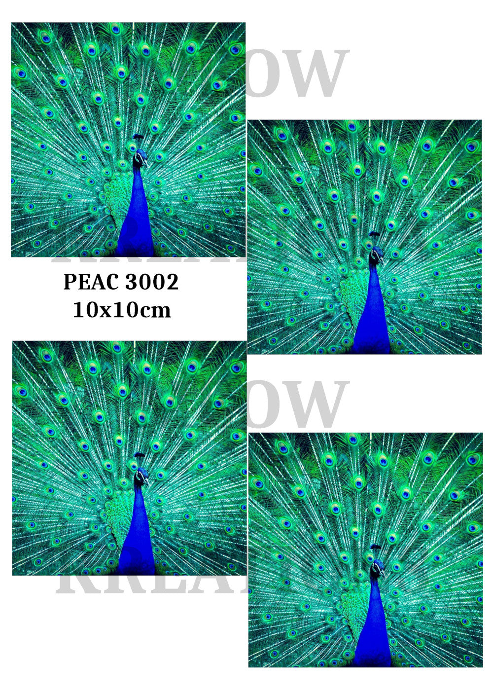 PEAC 3002