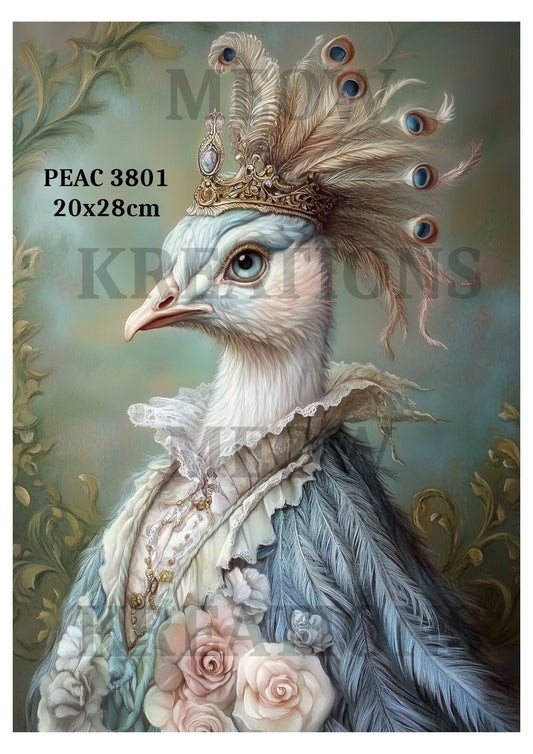 PEAC 3801