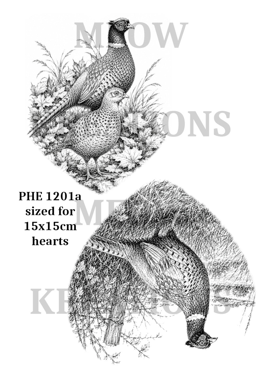 PHE 1201a