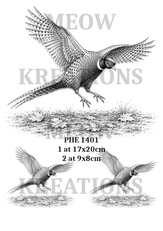 PHE 1401