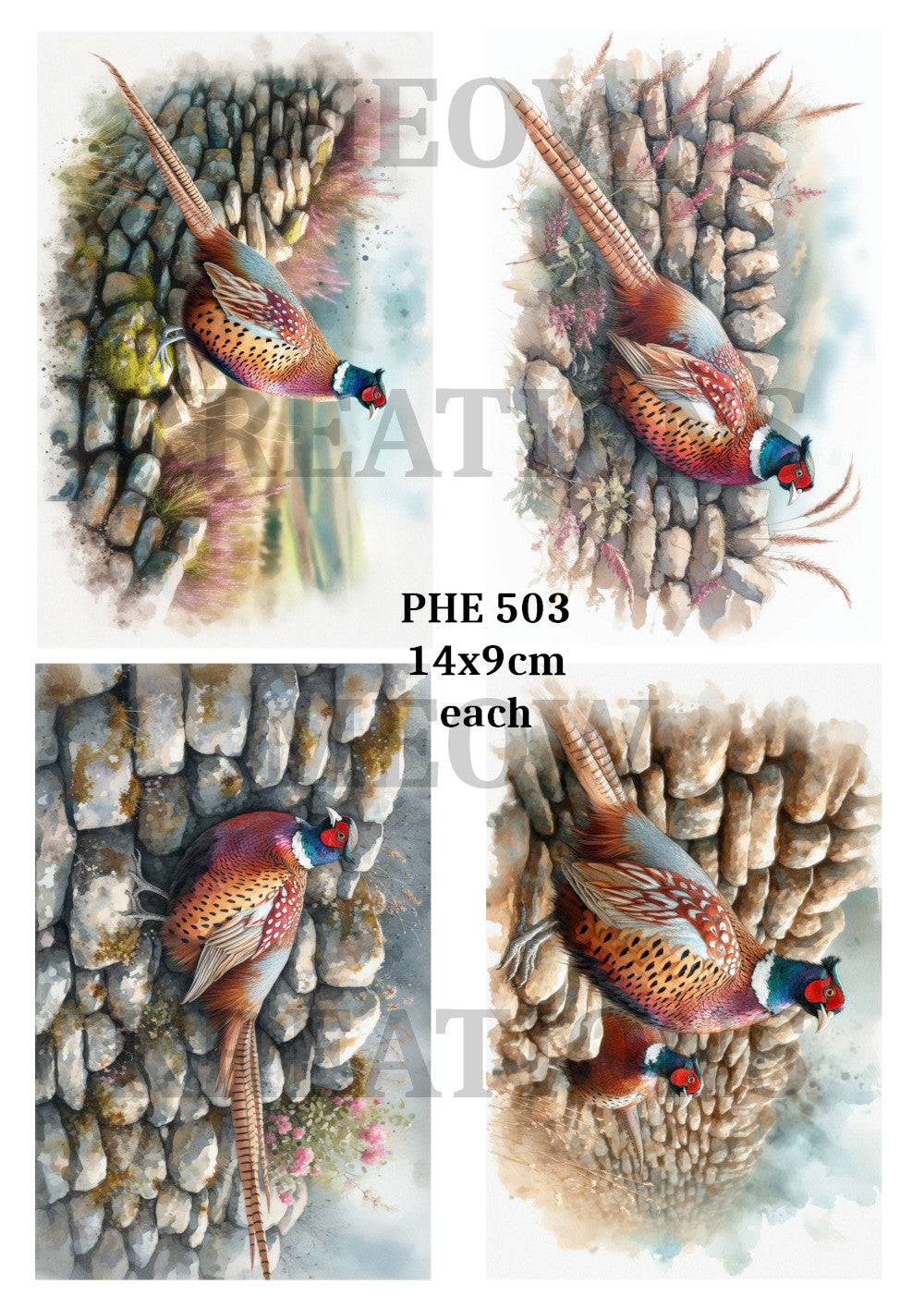 PHE 503