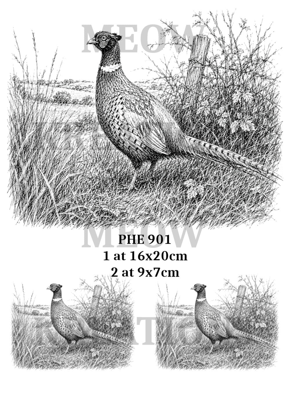 PHE 901