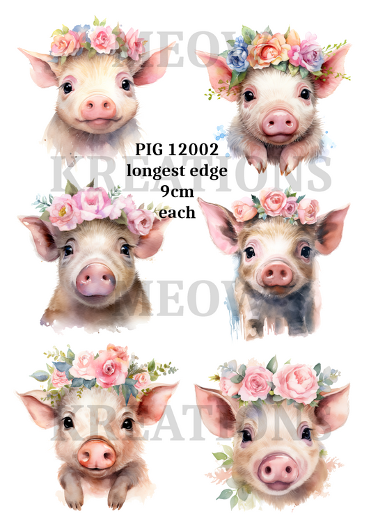 PIG 12002