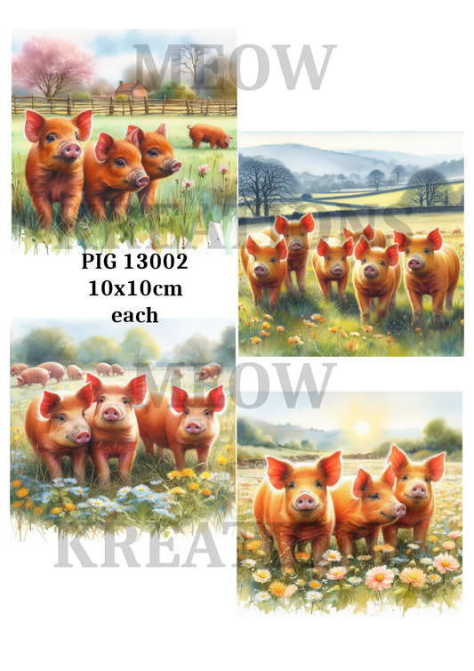 PIG 13002