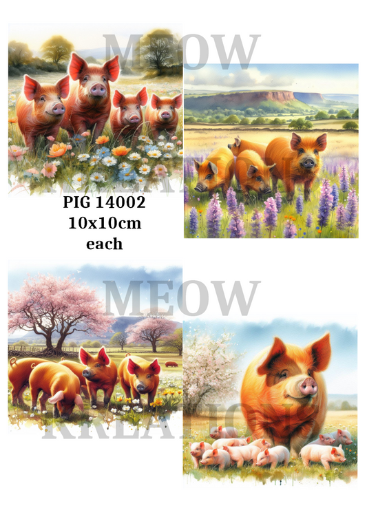 PIG 14002