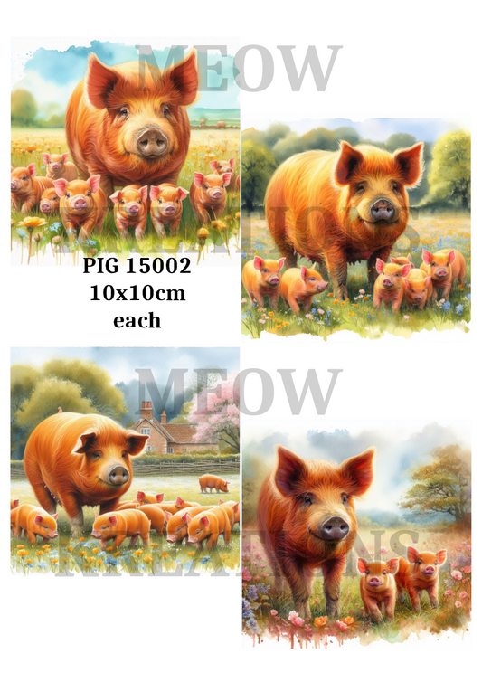 PIG 15002