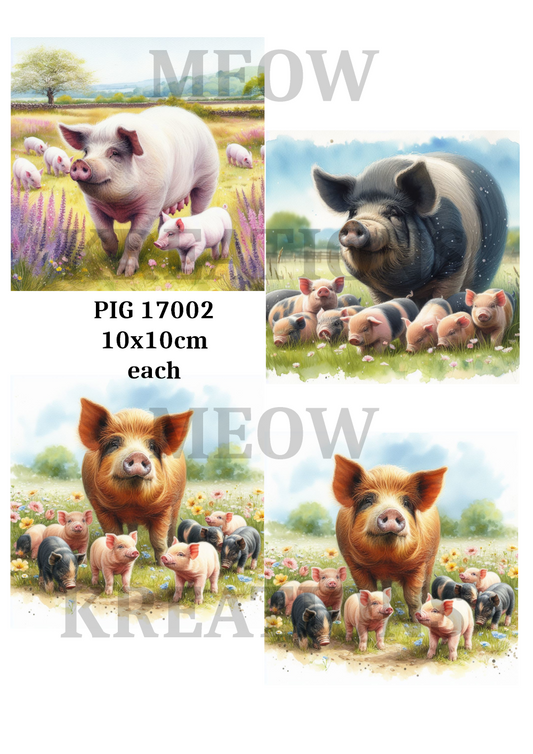 PIG 17002