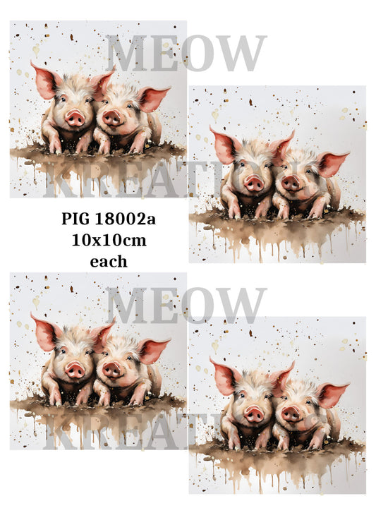 PIG 18002a