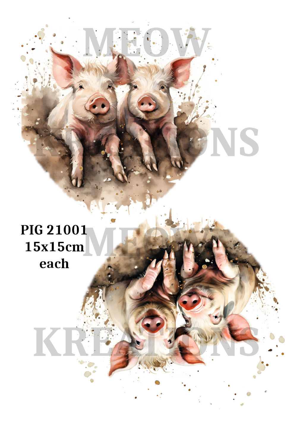 PIG 21001