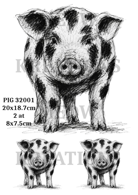 PIG 32001