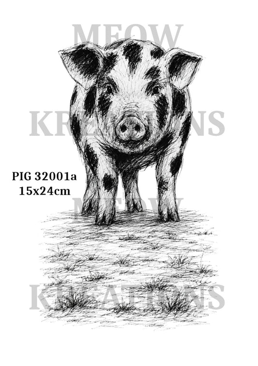 PIG 32001a