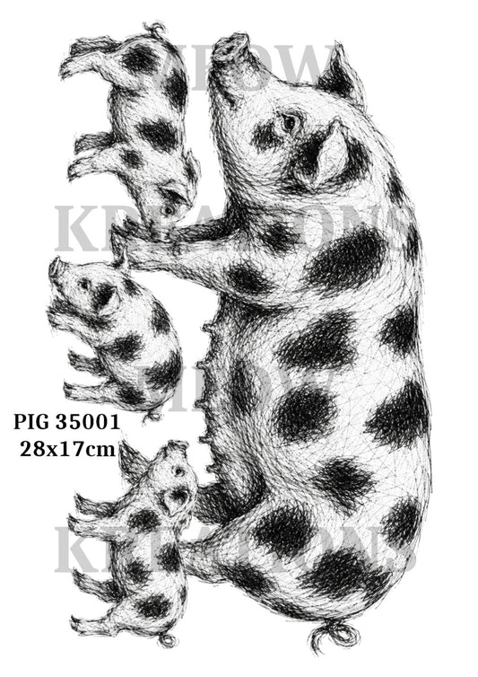 PIG 35001
