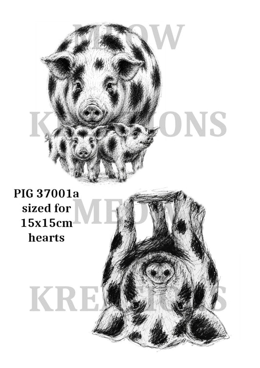 PIG 37001a