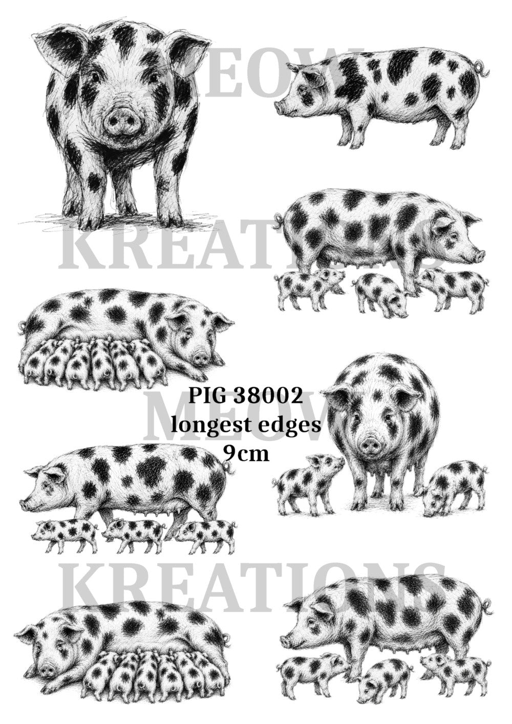 PIG 38002