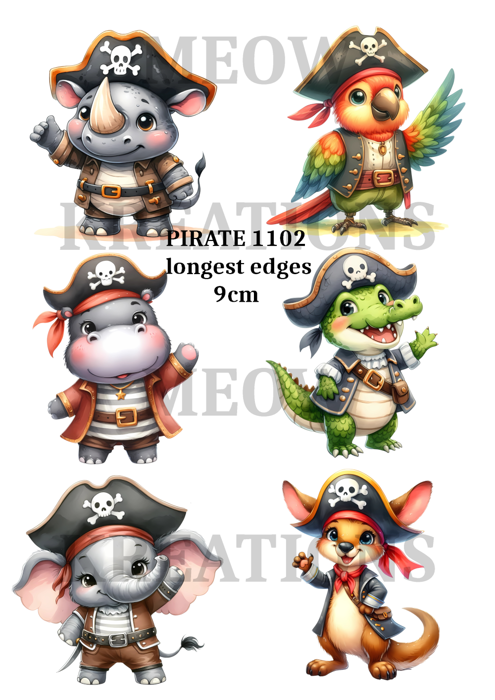 PIRATE 1102