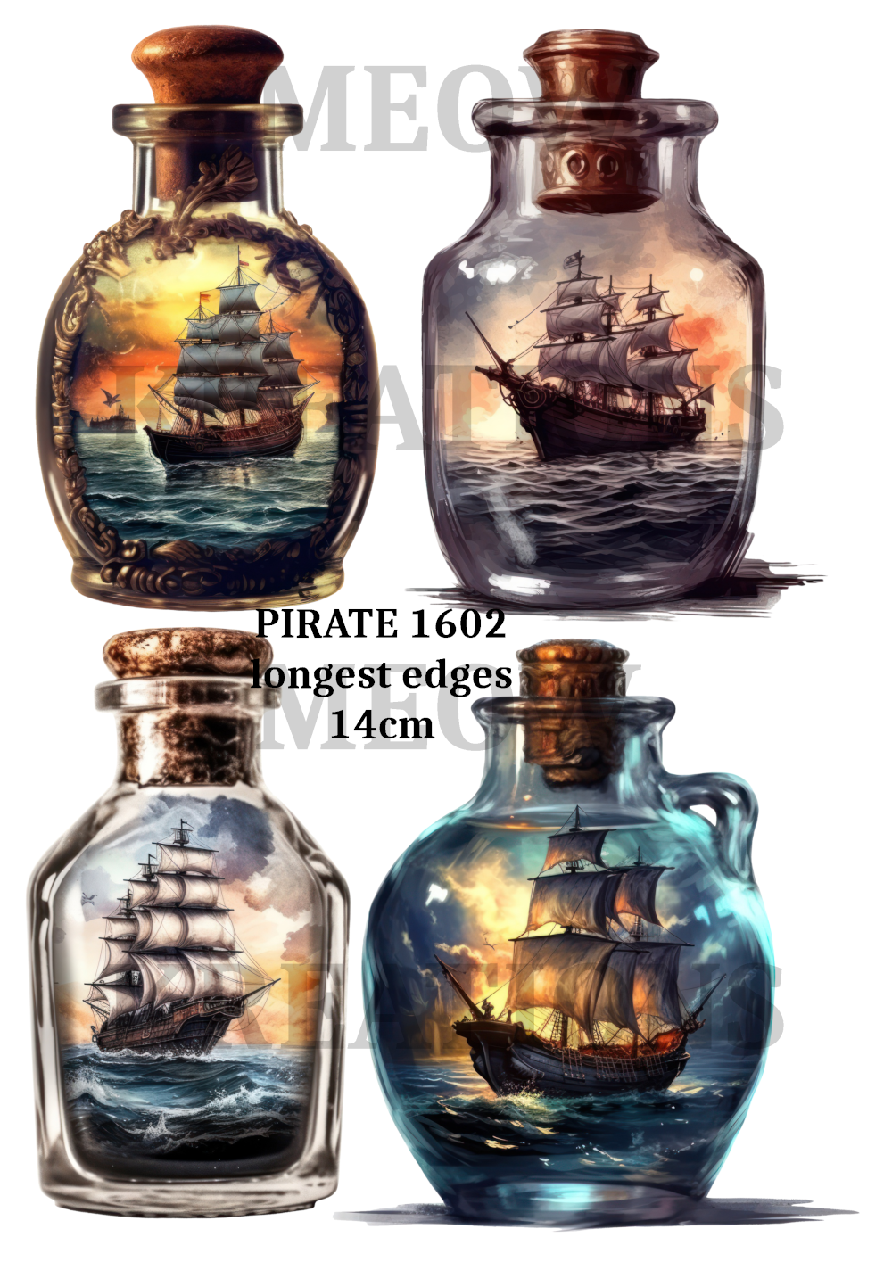 PIRATE 1602