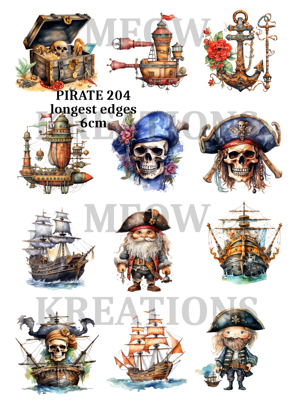 PIRATE 204