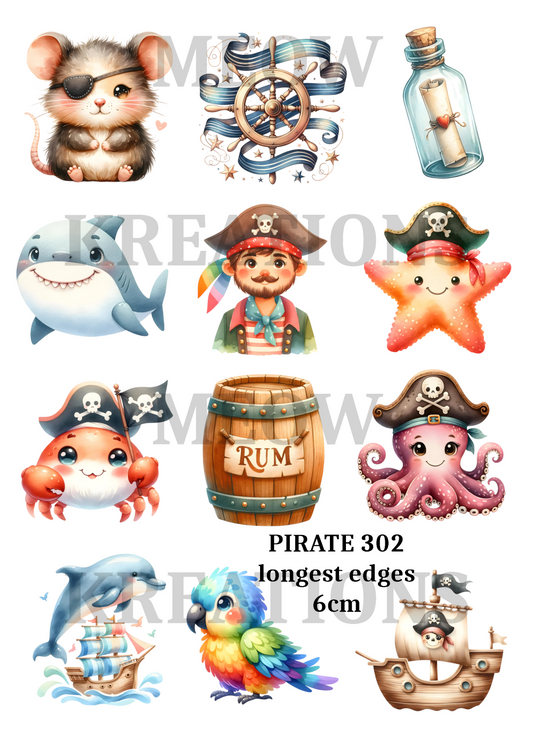 PIRATE 302