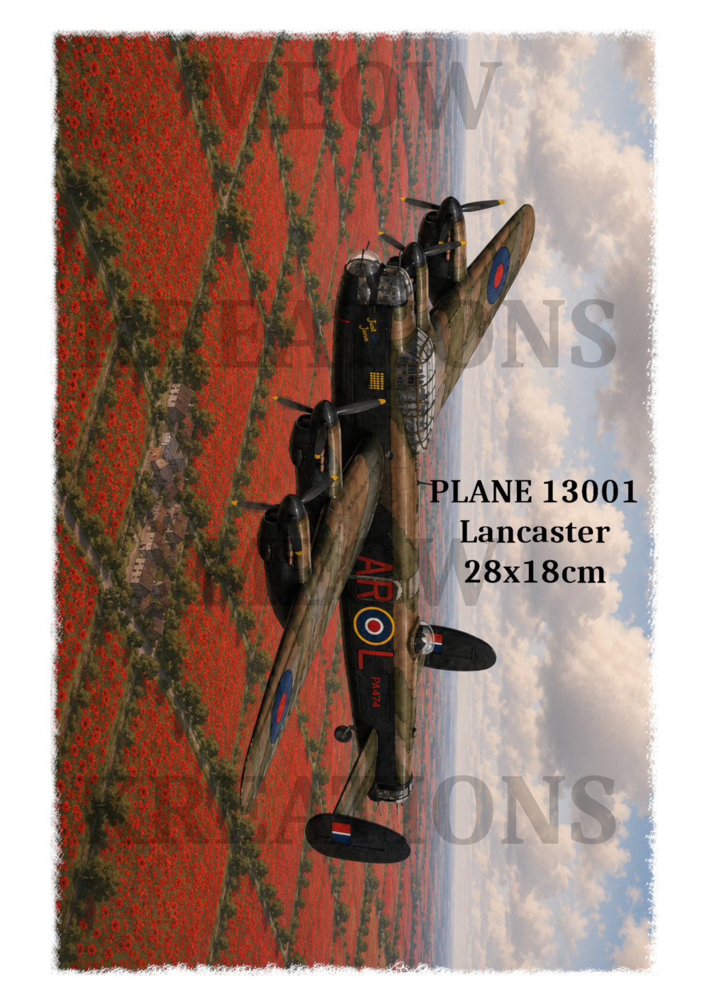 AVIÓN 5002