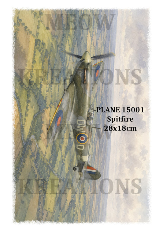 PLANE 15001